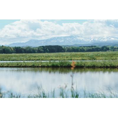 ふるさと納税 鶴岡市 【令和6年産米】黒川まるいし農場のコシヒカリ・つや姫・雪若丸 精米 各2kg　K-639 |  | 03