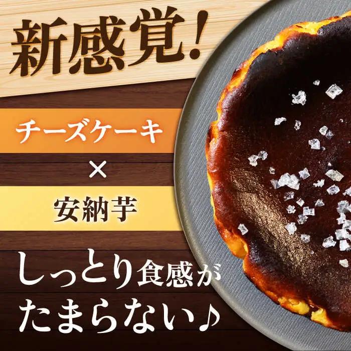 【全3回定期便】チーズケーキ 塩あんのう ケーキ 塩 芋 スイーツ お菓子 菓子[RBA017] チーズケーキ 定期便 チーズケーキ 定期便 チーズケーキ 定期便 チーズケーキ 定期便九州 長崎