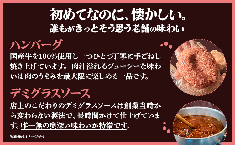 デミグラスソース ハンバーグ 選べる内容量 200g×3 計600g 200g×5 計1kg キッチンふじ 冷凍 《60日以内に出荷予定(土日祝除く)》 熊本県御船町_イメージ4