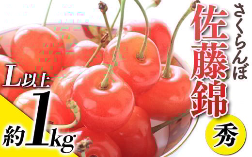 【令和8年産先行予約】 さくらんぼ 「佐藤錦」 約1kg (秀 L以上) バラ詰め 《令和8年6月上旬～発送》 『生産者おまかせ』 サクランボ 果物 フルーツ 産地直送 生産農家直送 山形県 南陽市 [881]