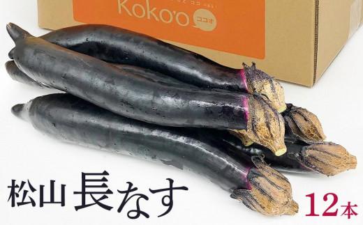 【2026年9月中旬頃から順次発送】松山長なす 12本入り | 夏野菜 茄子 わけあり ナス 長なす ワケアリ 長ナス 野菜 国産 国内産 新鮮 常温発送 愛媛県 松山市