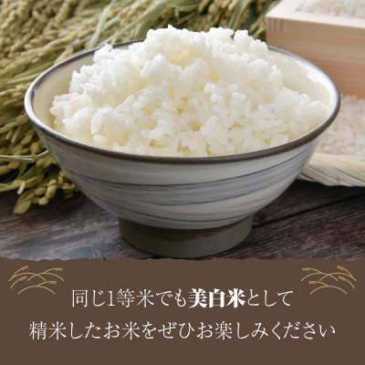 ふるさと納税 京丹後市 令和7年産　丹後こしひかり1等米10kg　美白精米[5kg×2袋] |  | 03