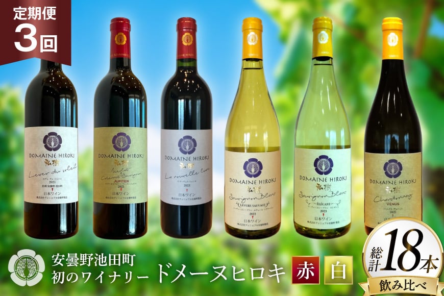 
            定期便 ワイン 赤白 6本 セット 各 750ml 3回 計 18本 [ヴィニョブル安曇野 長野県 池田町 48110766] フルボディ 飲み比べ ワインセット 赤ワイン 白ワイン
          