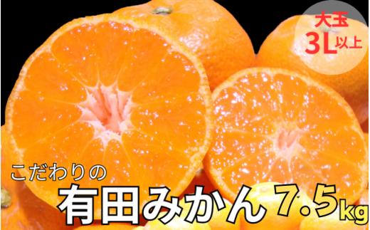 有田みかん　約7.5kg  大玉3L以上　有機質肥料100%　※2024年12月初旬～1月中旬に順次発送(お届け日指定不可)/ミカン 蜜柑 柑橘 フルーツ くだもの 果物 早生 温州 有田 【nuk158B】