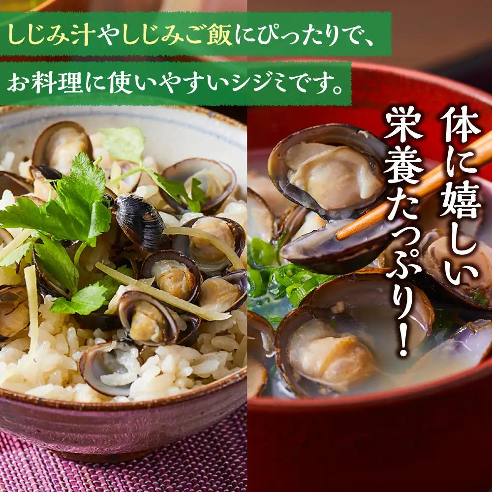 漁師直送！宍道湖産 ヤマトシジミ・Mサイズ 冷凍 3kg）| しじみ