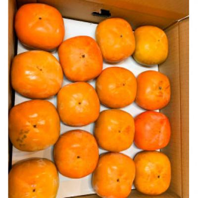 ふるさと納税 北山村 【ご家庭用訳あり】和歌山秋の味覚 富有柿 約7.5kg【uot719A】 |  | 01