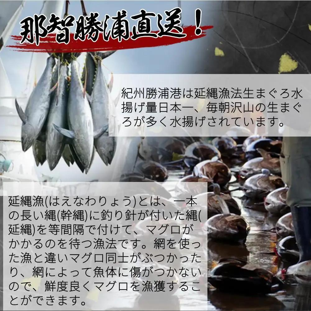 天然生まぐろ 柵 500g【UT101】まぐろ