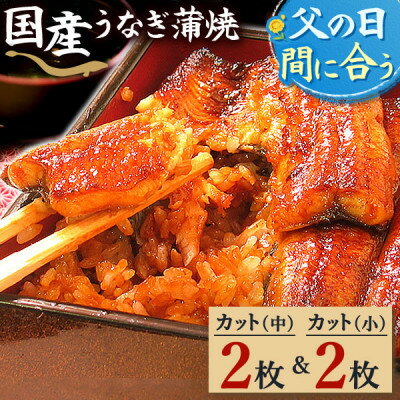 【ふるさと納税】浜名湖・うなぎのたなかのふっくら柔らか♪国産うなぎカット蒲焼(中)2枚(小)2枚※合計290g程度_ うなぎ ウナギ 鰻 かば焼き 蒲焼き 人気 美味しい 静岡県 ふるさと 国産 浜名湖 静岡 個包装 小分け 簡単調理 【配送不可地域：離島】【1417534】