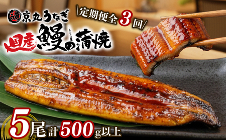 【定期便 3ヶ月】 うなぎ 蒲焼 5尾 国産 うなぎ