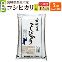 【ふるさと納税】《定期便12ヶ月》【令和6年産・白米】宮城県栗原産 コシヒカリ 毎月5kg (5kg×1袋)×12ヶ月