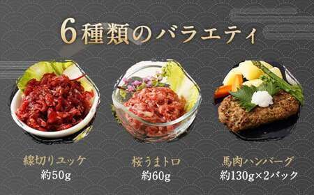 6種 馬肉 バラエティ 約520g 馬肉 お肉 赤身 コウネ ユッケ ハンバーグ タレ付