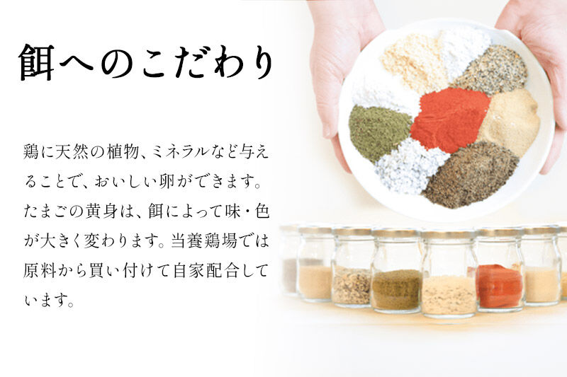 《定期便11ヶ月》 たまごの樹 純国産鶏種 卵『さくら』36個+割れ保証4個付き（10個入×4パック） [たまご タマゴ 玉子 鶏卵 まとめ買い オムレツ 卵かけご飯 朝食 料理 美味しい 瀧田養鶏場