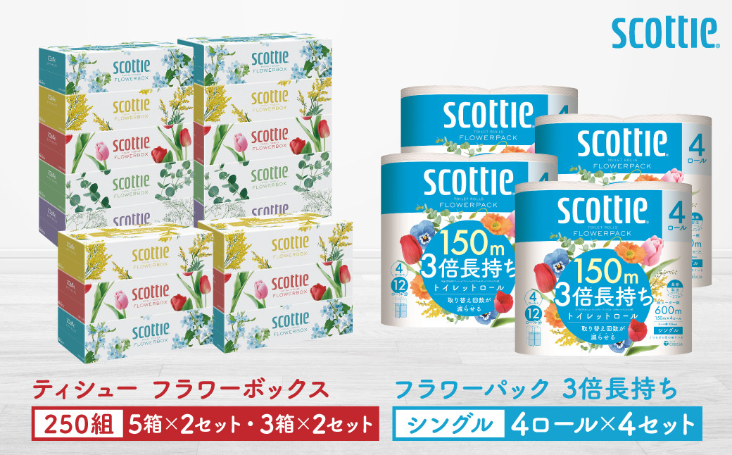
            【スコッティ】ティシュー フラワーボックス 250組（5箱パック×2セット・3箱パック×2セット）＋フラワーパック 3倍長持ち（4ロール(シングル)パック×4セット）ティッシュ トイレットペーパー 日用品
          
