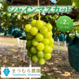 シャインマスカット 個装箱入り 岡山県産 シャインマスカット【約2kg 3～4房】【先行予約】