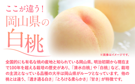 【ふるなび限定】桃 岡山の桃 約2kg