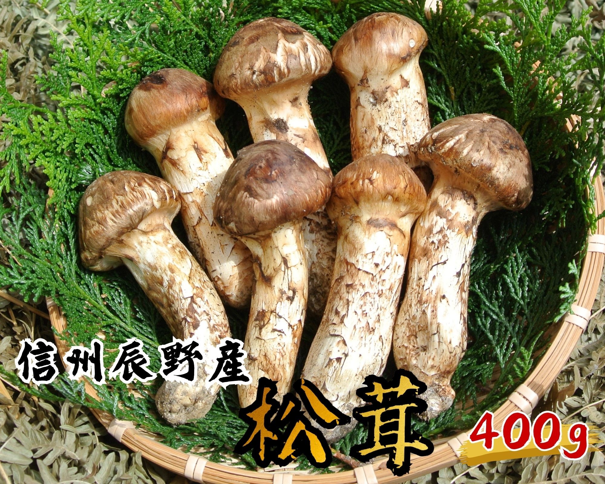 丁寧に梱包してお届けします。（写真はイメージです）
