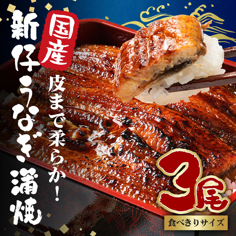 やわらか国内産 うなぎ蒲焼 食べ切りサイズ! 100～120g 3尾 計300g以上 ふっくら蒲焼き ブランド鰻使用 秘伝のタレ・山椒付き 湯煎で簡単調理 うな丼 ちらし寿司 贈答用 ギフト 冷蔵配送 国産 茨城県 潮来市 (A23-009)