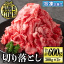 【ふるさと納税】国産黒毛和牛 切り落とし(計600g・300g×2P) 国産 牛 牛肉 肉 BBQ 炒め物 冷凍 冷凍便 詰め合わせ【お肉の直売所 伊佐店】