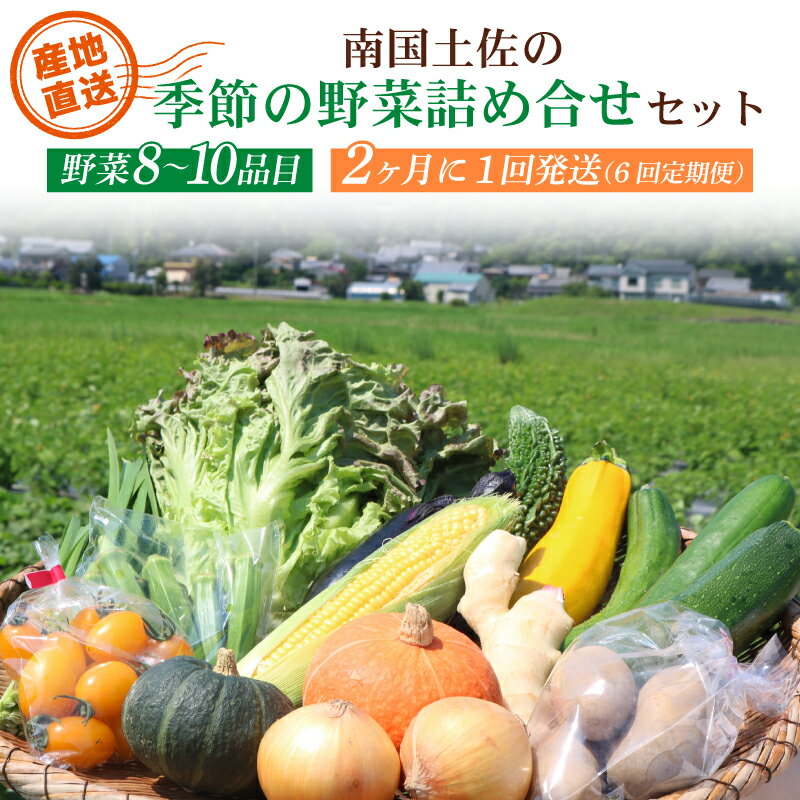 【ふるさと納税】 6回定期便 南国 土佐 季節 野菜 詰め合わせ セット 間隔発送 旬 やさい 野菜 農家直送 お楽しみ かぼちゃ カボチャ キャベツ きゃべつ トマト 玉ねぎ きゅうり 旬野菜 夏野菜 春野菜 人気 高知県 南国市