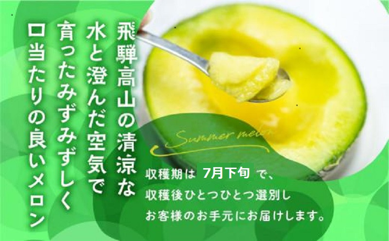 【先行受付】庄兵衛さん家のメロン1玉（7月下旬～順次発送）| メロン フルーツ 果物 アースメロン 箱入り 期間限定 数量限定 ギフト 贈答 人気 おすすめ お取り寄せ 飛騨高山 寺田農園 BN003