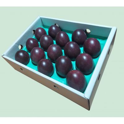 ふるさと納税 瀬戸内町 【先行受付】【2026年5月下旬以降順次発送】パッションフルーツ　化粧箱M玉15個入り |  | 03
