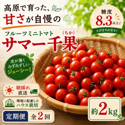 【毎月定期便】蓼科野菜　八ヶ岳産高原育ちのフルーツミニトマト 約2kg 全2回【配送不可地域：離島】