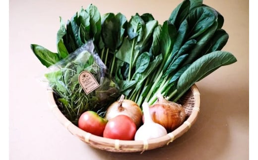 【定期便】2026年7月発送開始 野菜5種5品3ヶ月定期便 /// 奈良県 野菜 野菜セット 定期便 核家族 小さめセット 月1配送 予約 夏野菜 おすすめ 野菜定期便