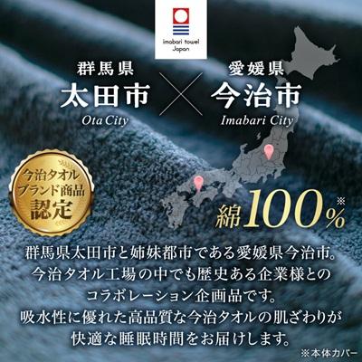 ふるさと納税 太田市 今治タオルの抱かれ枕 |  | 01