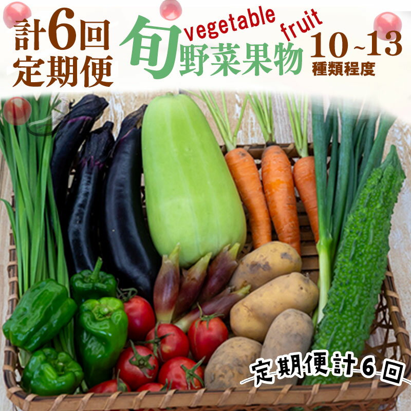 【ふるさと納税】 【 定期便 6回 】 野菜 果物 セット 10 から 13 種類 | お楽しみ やさい くだもの フルーツ 果物 セット 旬 新鮮 詰め合わせ 国産 季節 フレッシュ きゅうり ピーマン なす トマト 大根 白菜 頒布会 高知県 須崎市 ふるさと納税野菜定期便 ME2000_x