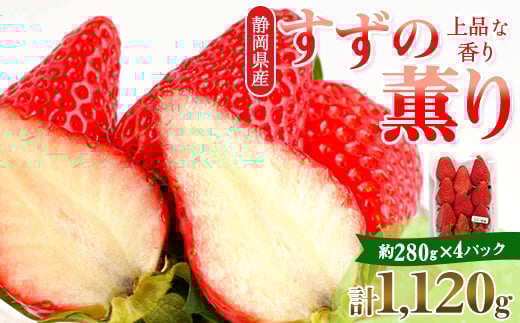 静岡県掛川市産　ミズノ農園の完熟いちご「すずの薫り」　約280g×4パック_いちご イチゴ 苺 すずの薫り 果物 フルーツ ギフト 送料無料 静岡県 掛川市【1490919】