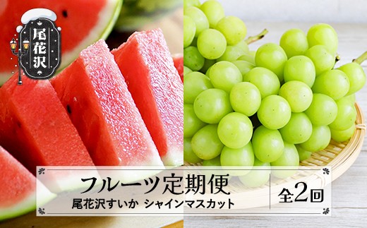 【先行予約】フルーツ定期便  全2回  スイカ シャインマスカット 秀品 2026年7月中旬~発送開始 2026年産 令和8年産 佐竹物産 ※沖縄・離島への配送不可 sb-fts2x-b-bu
