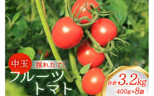 
新鮮！中玉フルーツトマト400g×8袋 山梨県中央市より、採れたてを発送 [農事組合法人 た・から 山梨県 中央市 21470737] とまと トマト フルーツトマト 中玉トマト 野菜
