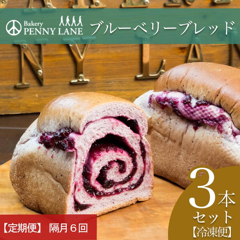 【ふるさと納税】【隔月6回配送定期便】ペニーレインのブルーベリーブレッド3本セット | 茨城県 つくば市 パン パン屋 茨城県 つくば市 ブルーベリー 冷凍パン お取り寄せ 人気 おすすめ ベーカリー グルメ プレゼント レストラン ドッグラン 冷凍 冷凍便