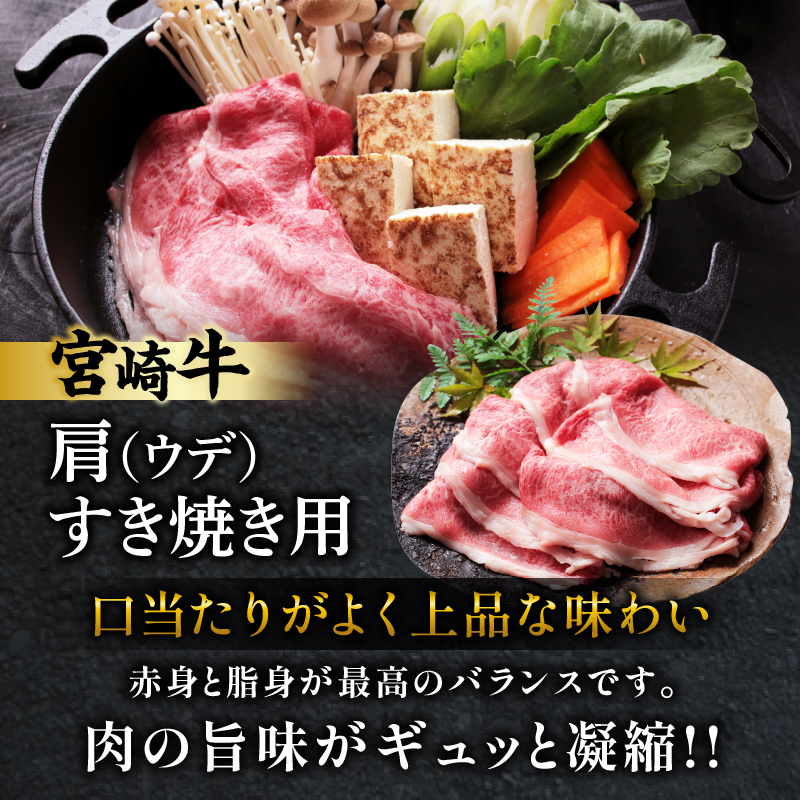 宮崎牛サーロインステーキ&肩(ウデ)すき焼き用セット合計500g_T009-003【肉 牛 牛肉 焼肉 国産 人気 ギフト 食品 おかず お肉 焼き肉 お土産 贈り物 送料無料 プレゼント】