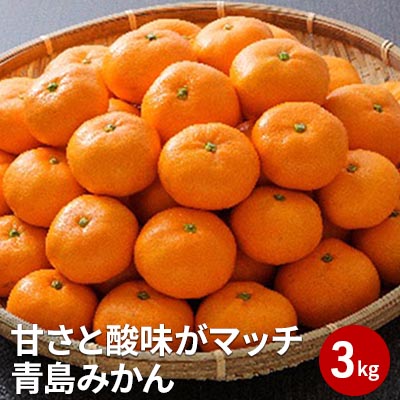 【ふるさと納税】【2026年1月中旬より順次発送】甘さと酸味がマッチ　青島みかん3kg 5,000円