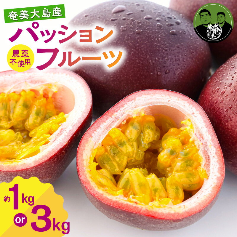 【ふるさと納税】【2026年先行予約】＜選べる＞ パッションフルーツ 家庭用 約 1kg or 3kg パッション フルーツ 果物 南国 デザート 家庭用 期間限定 限定 自然 美味しい カクテル ヨーグルト サラダ 奄美都農園 ふるさと納税 鹿児島 奄美市 おすすめ ランキング