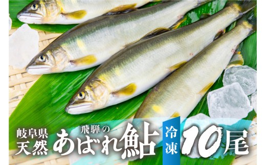 ＜8月から寄附額改定＞《先行予約》＜8月から寄附額改定＞2026年産 飛騨 天然鮎 中サイズ 10尾 / 天然 アユ 鮎 選べる内容量 岐阜県 室田名人 宮川下流 飛騨のあばれ鮎 高級料亭御用達 急速冷凍 冷凍 あゆ 魚 天然 川魚 [Q2177_26] 32000円