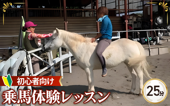 
                  乗馬 体験 レッスン チケット 25分 | 馬 うま 乗馬 体験 レッスン 初心者 自然 シエナ乗馬クラブ 埼玉県 狭山市
                