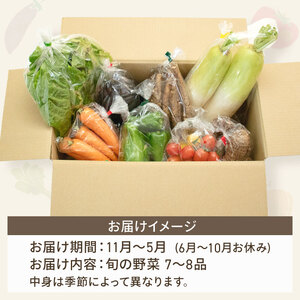 新鮮 野菜セット ( 7～8品 ) 季節の野菜
