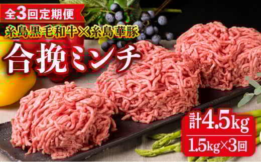 【全3回定期便】【 牛豚合挽 ミンチ 】 A4ランク 糸島黒毛和牛 / 糸島華豚 合計1.5kg 糸島市 / 糸島ミートデリ工房 [ACA263] ひき肉ミンチ合挽 和牛 牛肉豚肉ハンバーグ赤身国産福岡 冷凍