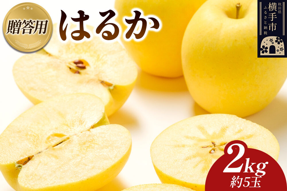 【先行受付】12月上旬より発送 樹上完熟りんご（はるか）贈答用 約2kg（約5玉） 喜三郎農園 [先行予約 秋田県 横手市 林檎 リンゴ りんご 果物 フルーツ 贈答用]