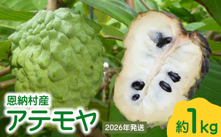 【2026年発送】恩納村産アテモヤ 約1kg 