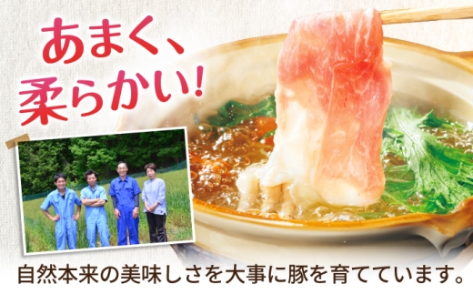 豚肉 しゃぶしゃぶ 豚しゃぶ用 豚モモ肉 豚ロース 豚バラ セット しゃぶしゃぶ用 詰め合わせ もも肉 もも 肩ロース ロース
