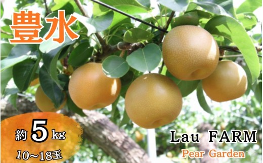 【2026年秋収穫分】 梨 豊水 約5kg 10～18玉 農家直送 千葉県白井市 先行予約受付  LauFARM(ラファーム)