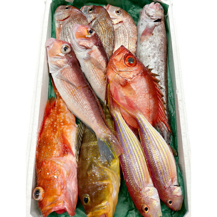 【ふるさと納税】鮮魚 約5kg 冷蔵 旬 魚 さかな 天然 天然魚 新鮮 地魚 産地直送 水揚げ次第発送 おまかせ セット 詰め合わせ お取り寄せ 大田市 和江漁港