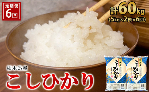 
【6ヶ月定期便】【令和5年産・新米】栃木県産こしひかり（精米・5kg×2袋）
※着日指定不可
※離島への配送不可
