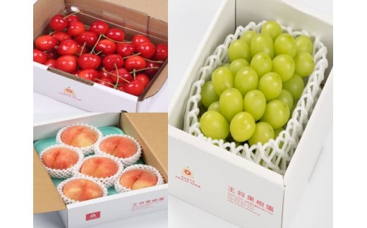 08-03-031　果樹園物語(銀将プラン)全3回