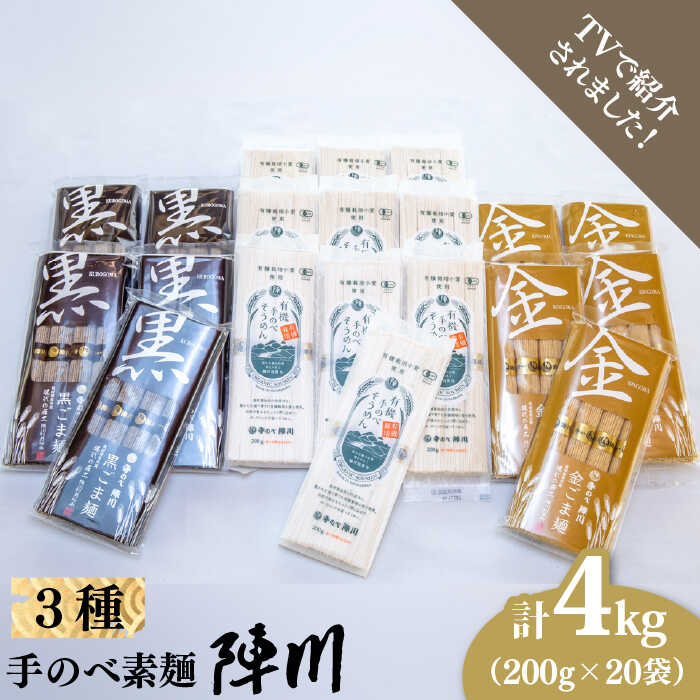 【手のべ陣川：ふるさと納税返礼品での限定商品】島原有機 手延べ そうめんand手延べ ごま麺 詰合せ 4kg/TA-100  / 南島原市 / ながいけ [SCH029]