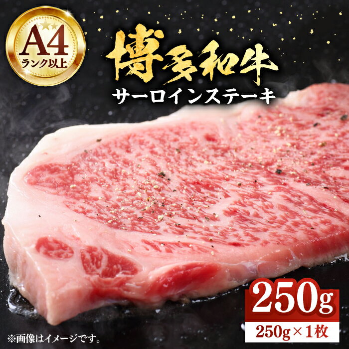 【ふるさと納税】博多和牛 サーロインステーキ 250g（250g×1枚）【株式会社Meat Plus】《豊前市》[VBB009] 肉 牛肉 焼肉 ステーキ ステーキ肉 国産 和牛 国産牛 人気 ギフト A4以上 12000 12000円
