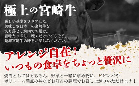 ＜宮崎牛 切落し焼肉1kg（500g×2）＞入金確認後、翌月末までに出荷【国産 黒毛和牛 牛肉 牛 精肉 赤身 ブランド牛 ちょっと豪華 毎日の食卓 プチ贅沢 ご褒美 旨味 普段使い 焼き肉 形 大き
